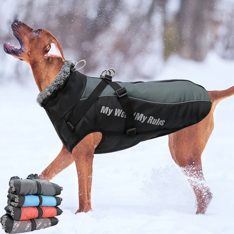 Large Dog Jacket