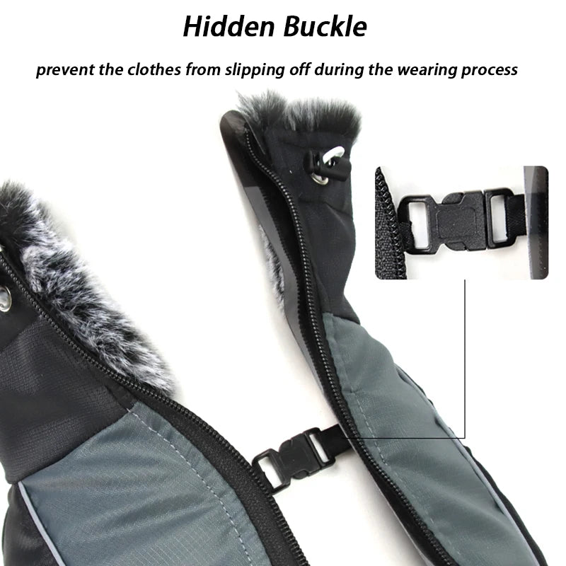 Large Dog Jacket