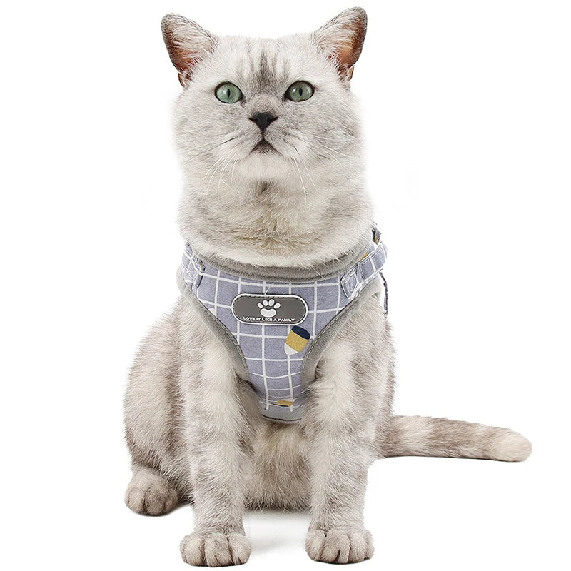 Reflective Breathable Mesh Small Dog Harness with Leash Pug