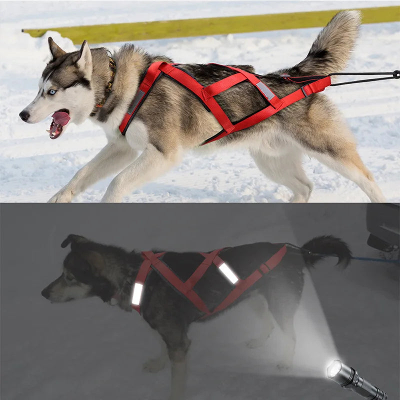 Pet Sledge Harness for Small Large Dogs
