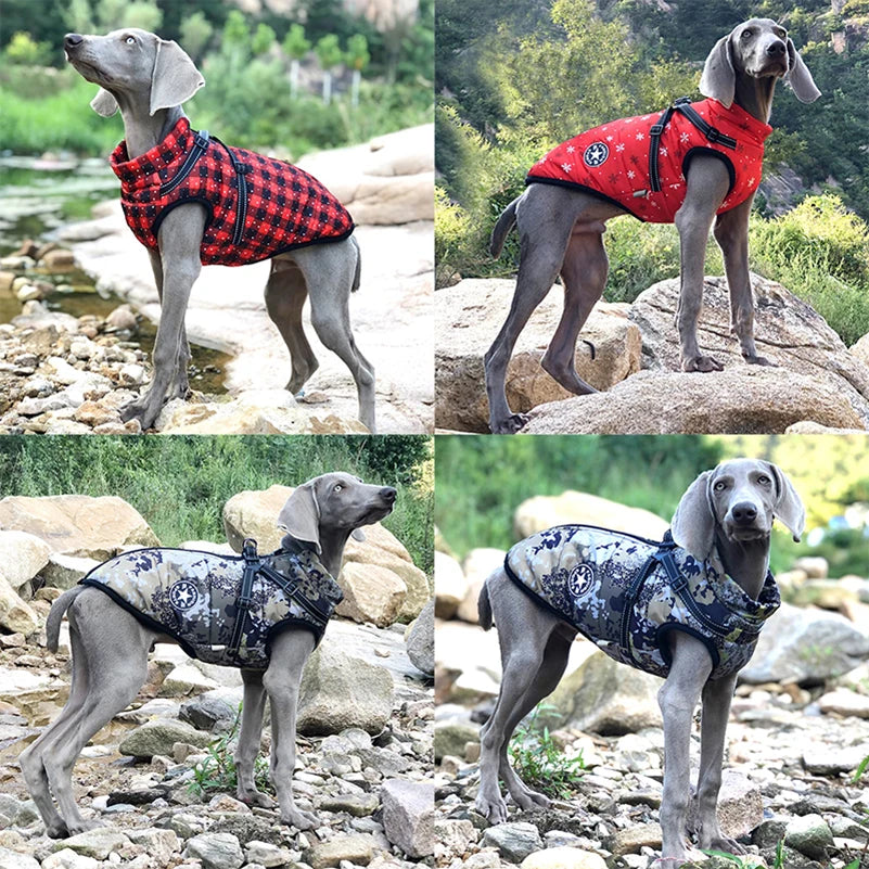 Warm Clothes For Small Dogs