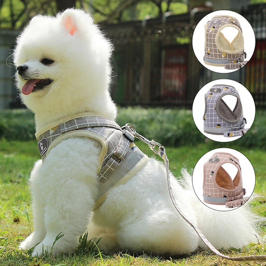Reflective Breathable Mesh Small Dog Harness with Leash Pug