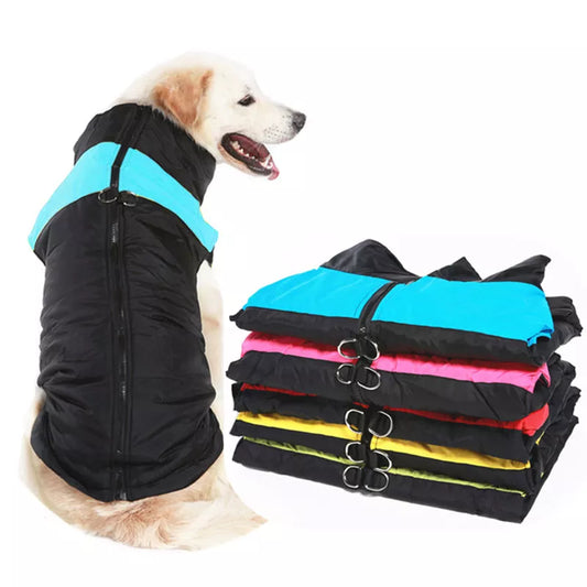 Manteau chaud pour gros chien