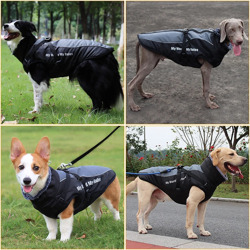 Large Dog Jacket