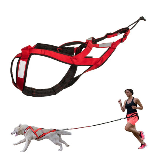 Pet Sledge Harness for Small Large Dogs