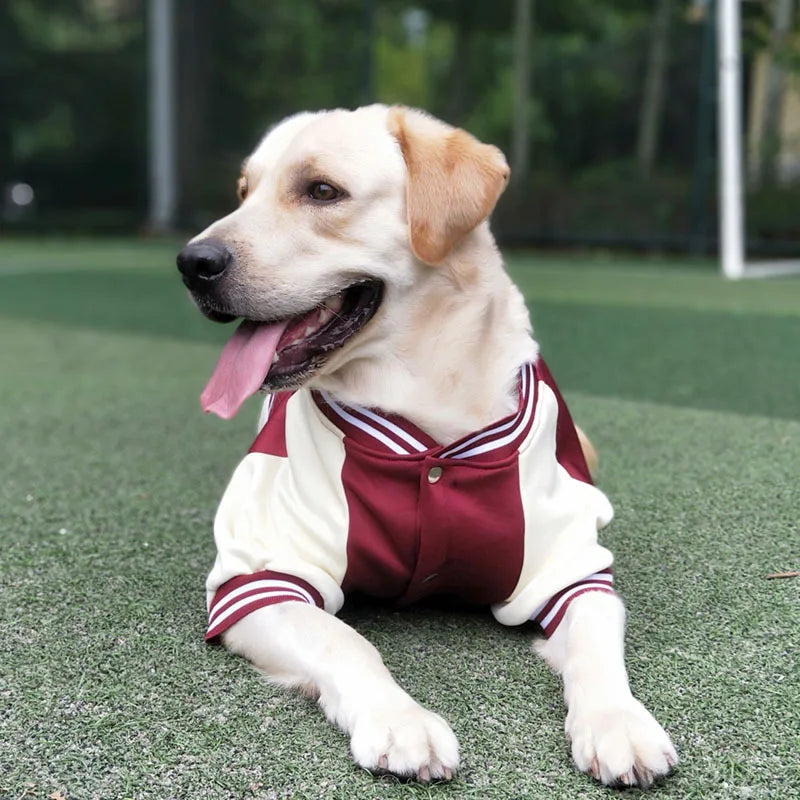 Pet Baseball Uniform for Small Large Dogs