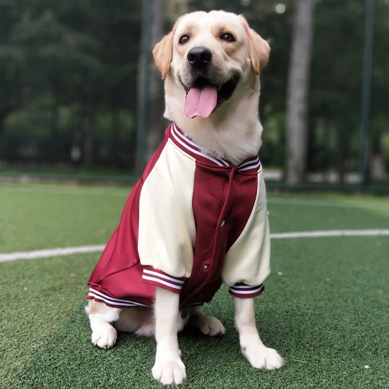 Pet Baseball Uniform for Small Large Dogs