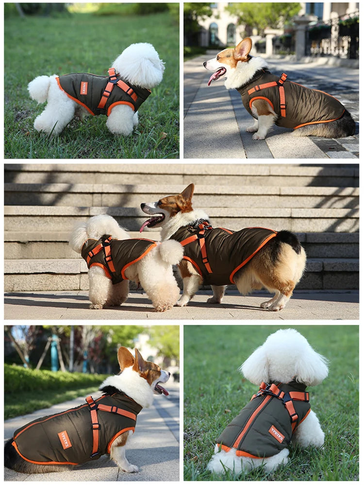 Puppy Jacket Waterproof