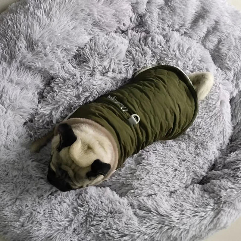 Dog Jacket