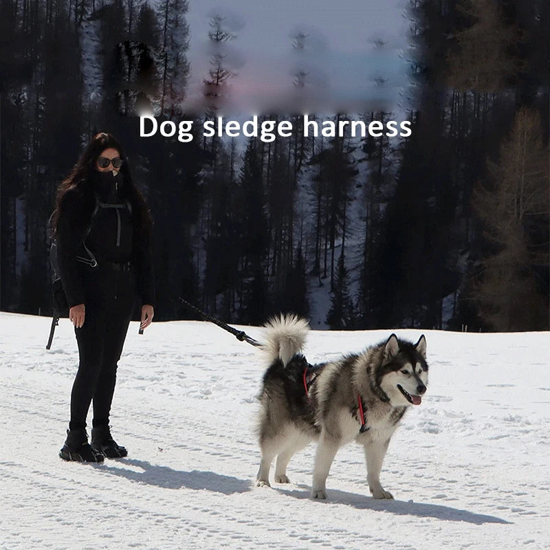 Pet Sledge Harness for Small Large Dogs